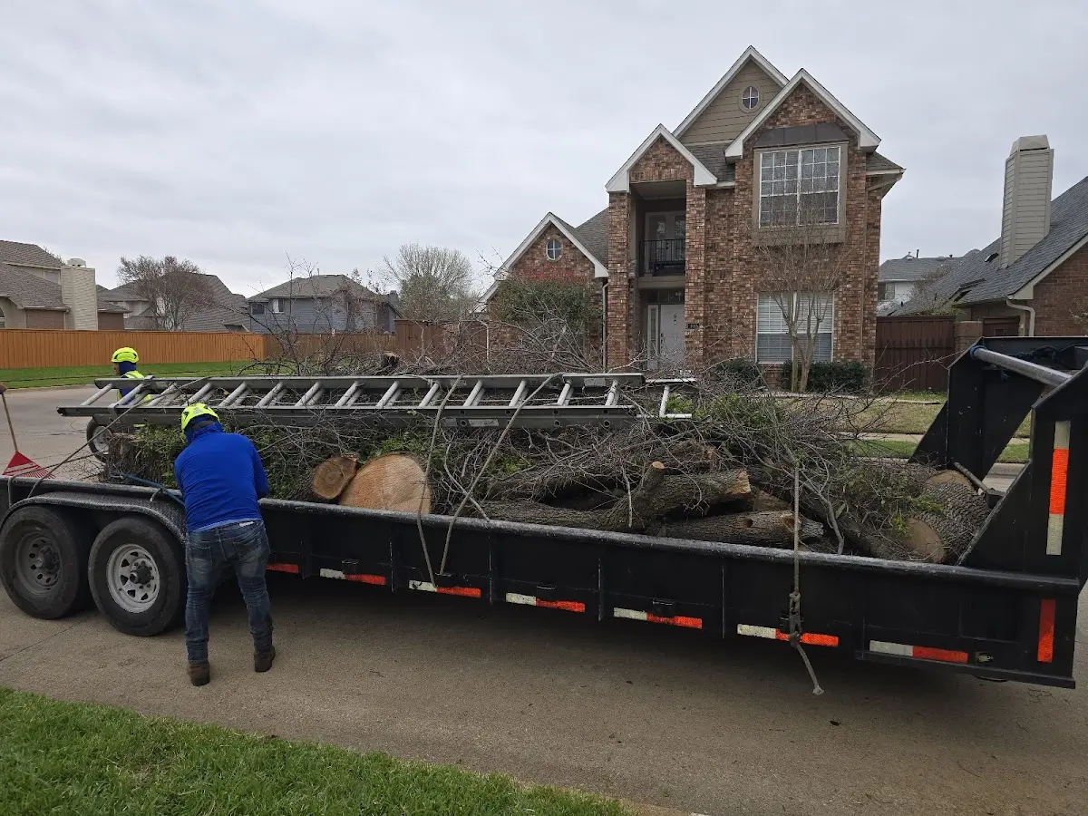 Expert Tree Removal with proper safety equipment in Roderfield